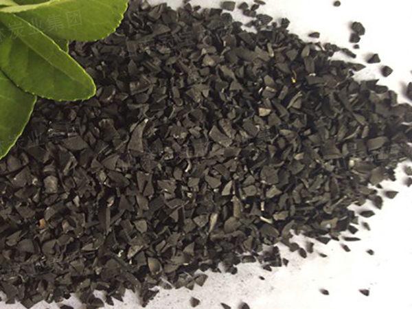 Fruit-Shell Activated Carbon for Air and Water Applications