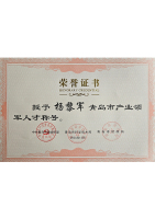 Qingdao Industry Leading Talent