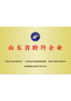 Shandong Gazelle Enterprise