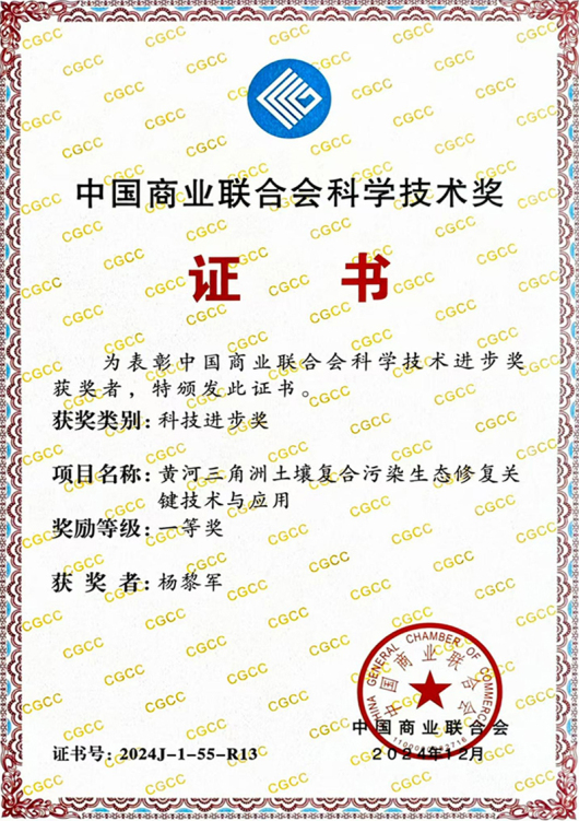 China General Chamber of Commerce Science and Technology Award — Yang Lijun