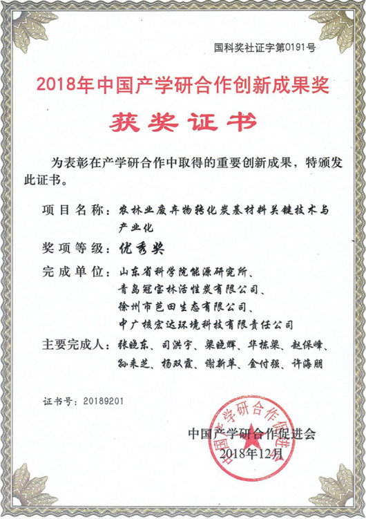 BRICS Skills Development and Technology Innovation Competition Gold Award
